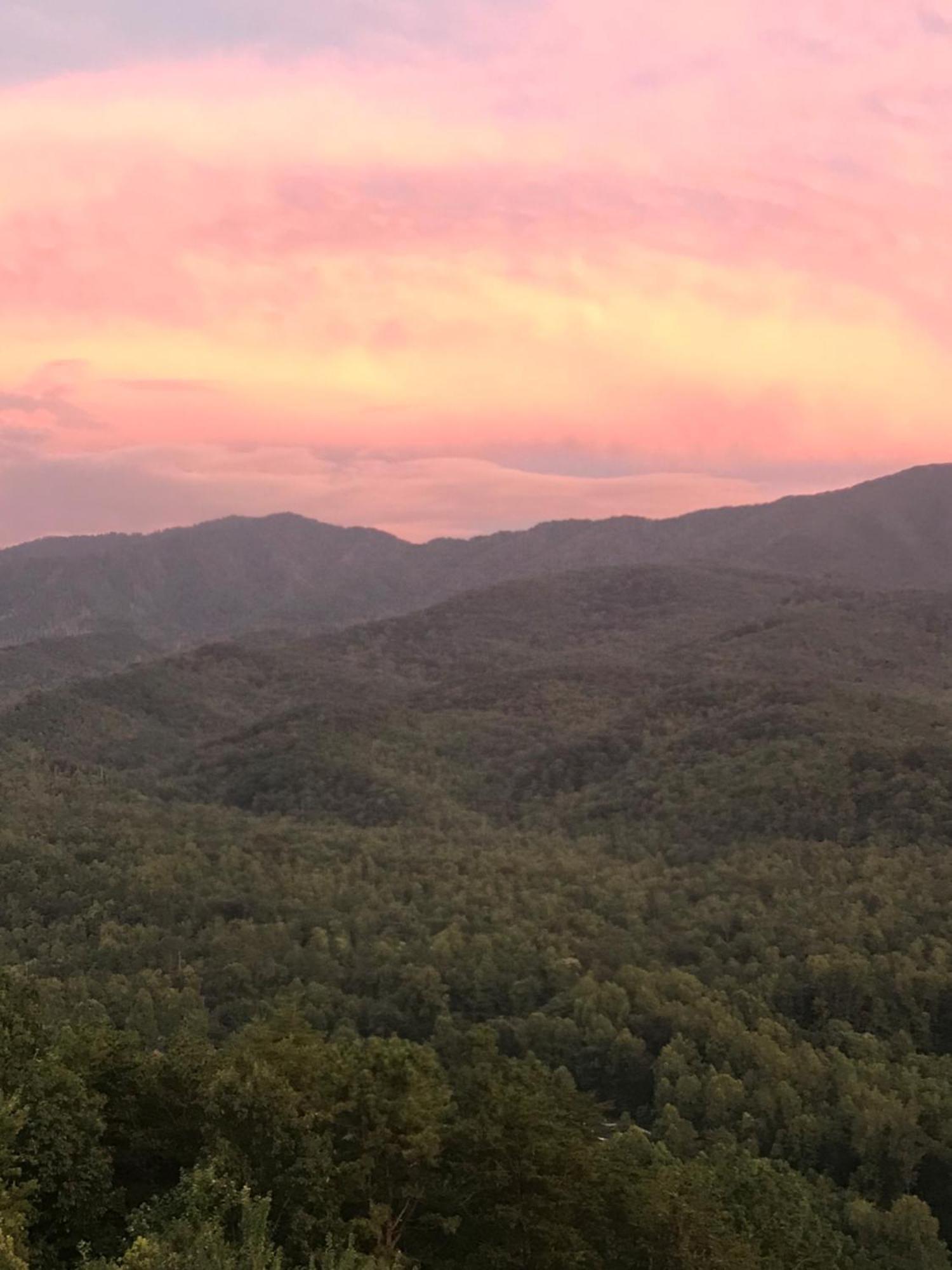 개틀린버그 Stairway To Heaven, Breathtaking Mtn Views Indoor Pool & Hot Tub 아파트 외부 사진