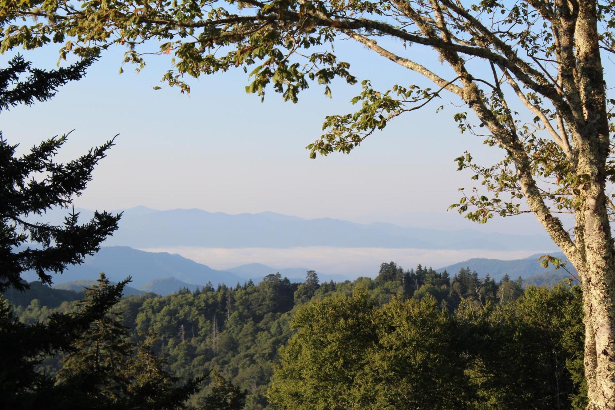 개틀린버그 Stairway To Heaven, Breathtaking Mtn Views Indoor Pool & Hot Tub 아파트 외부 사진